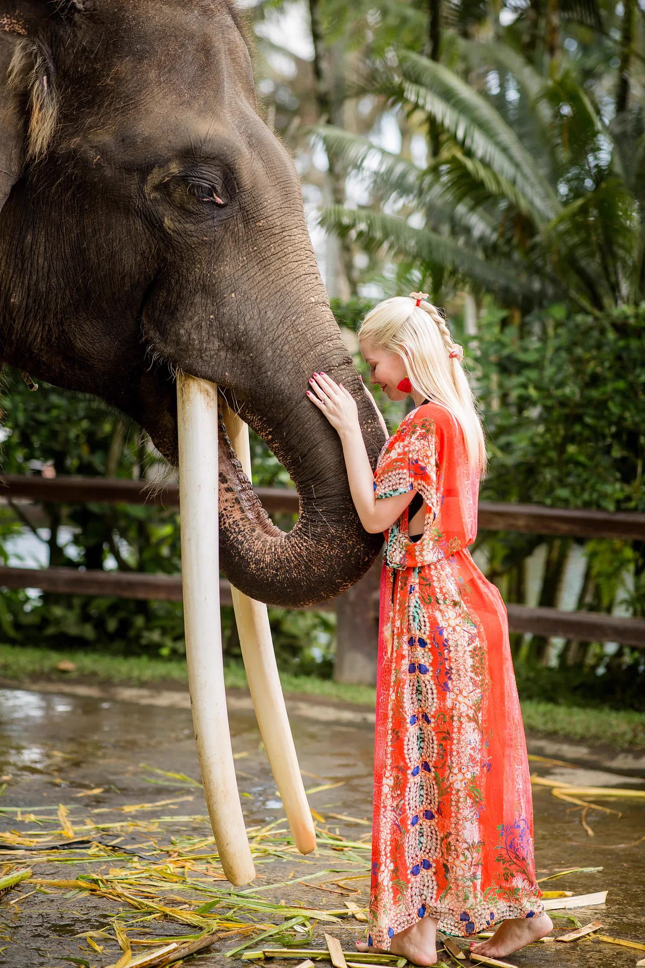 Original image for Girl Enchants Elephant